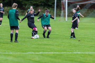 Bild 61 - F SG Daenisch Muessen - SG Blau-Rot Holstein : Ergebnis: 3:1